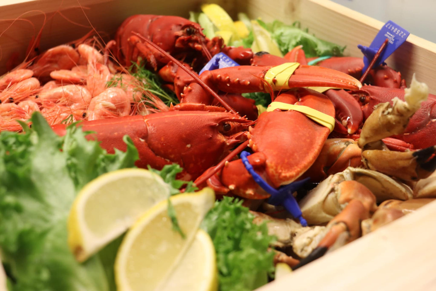 1 Kg - Kokt Europeisk Hummer