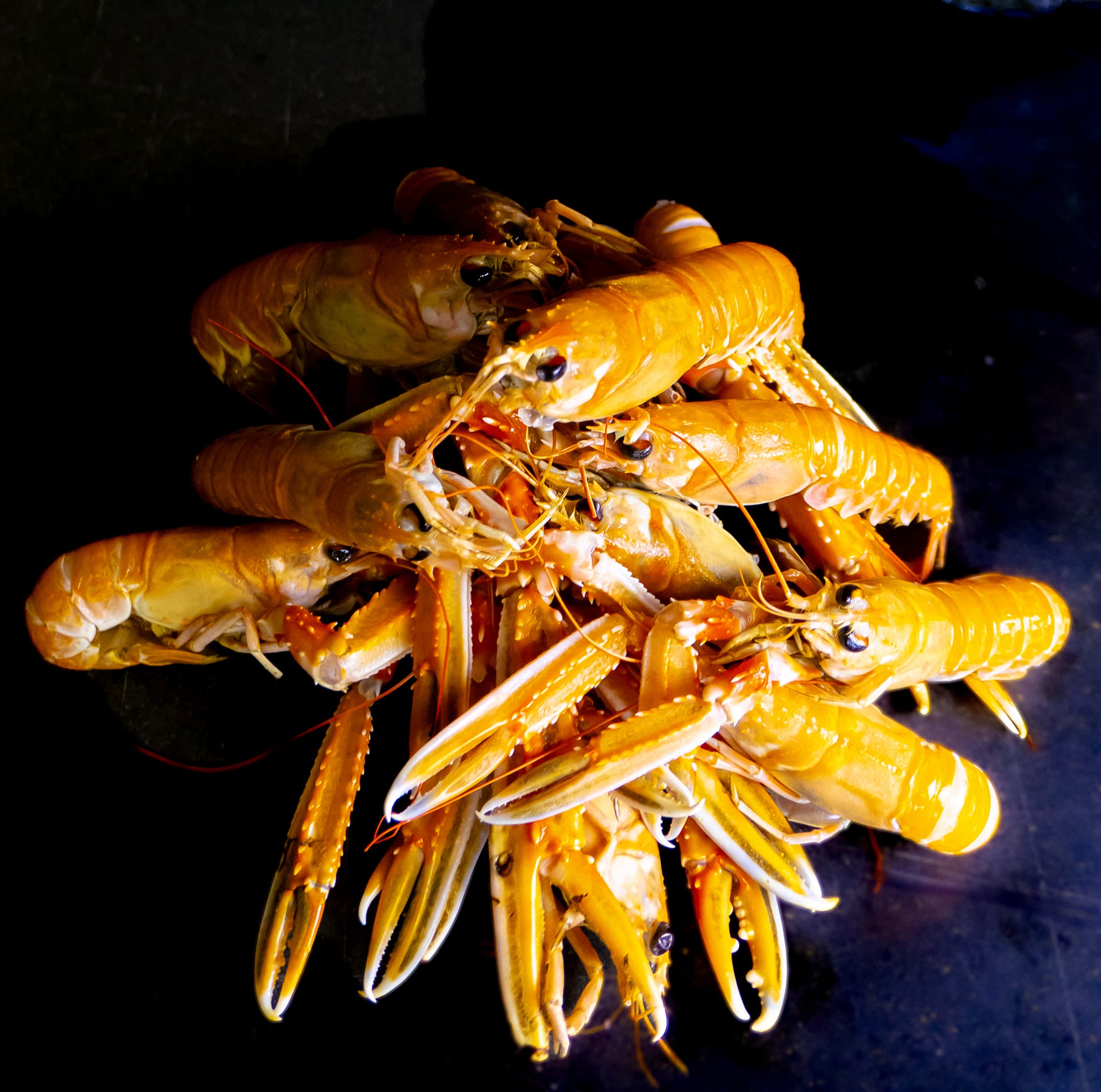 F rder Sj kreps F rder Sj mat F rder Sj kreps F rder Sj mat